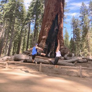 Meet your Posher, Kent